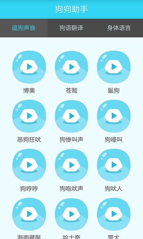 狗狗助手