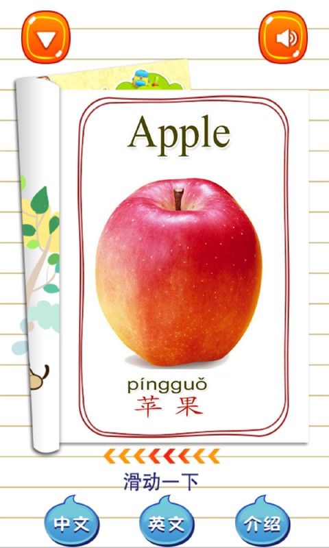 小半龙学动物游戏