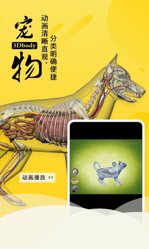 3Dbody宠物