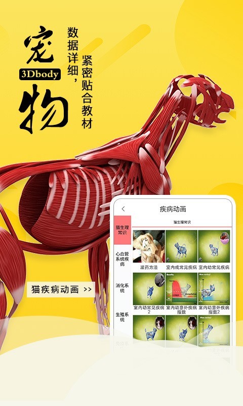 3Dbody宠物