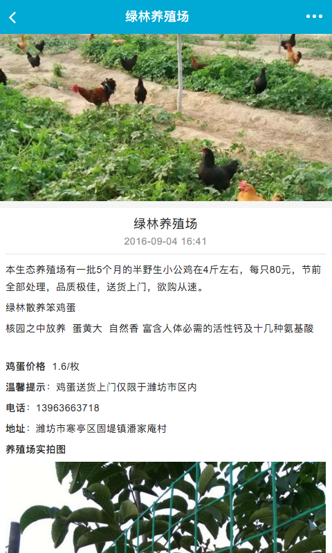 山东特色美食