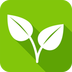 Yeelight Pro