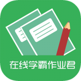 在线学教师证