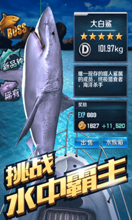 全民钓鱼