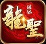 龙圣国际