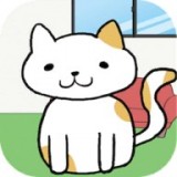 我的猫盆