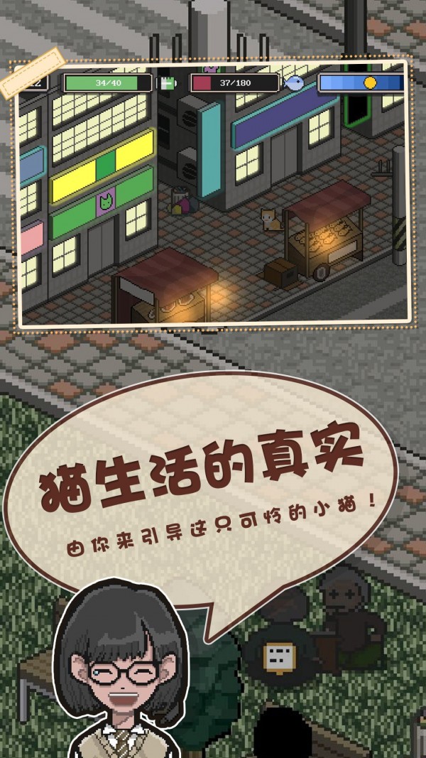 卡通猫挑战