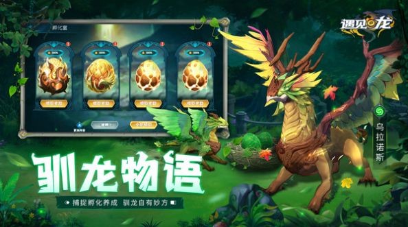 遇见龙龙族决战