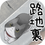 迷路的阿当