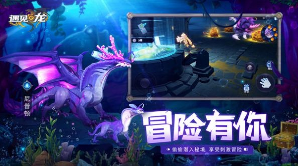 遇见龙龙族决战