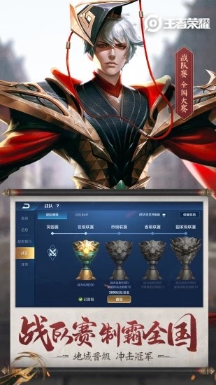王者荣耀九游版