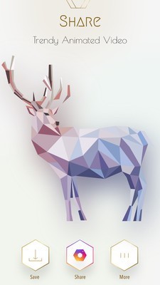 多边形幻想