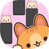 猫咪弹弹弹