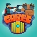 Cubicks