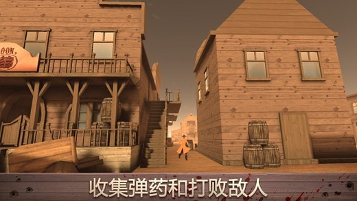 西部战场