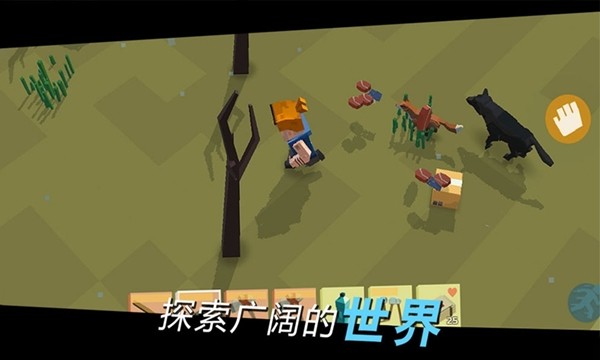 方舟之旅