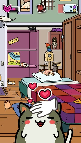 小偷猫猫